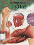 Melihat Dengan Mikroskop : Otot
